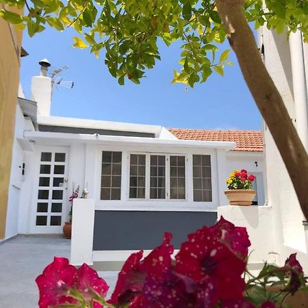 Katsikantaris Homes Pafos Dış mekan fotoğraf