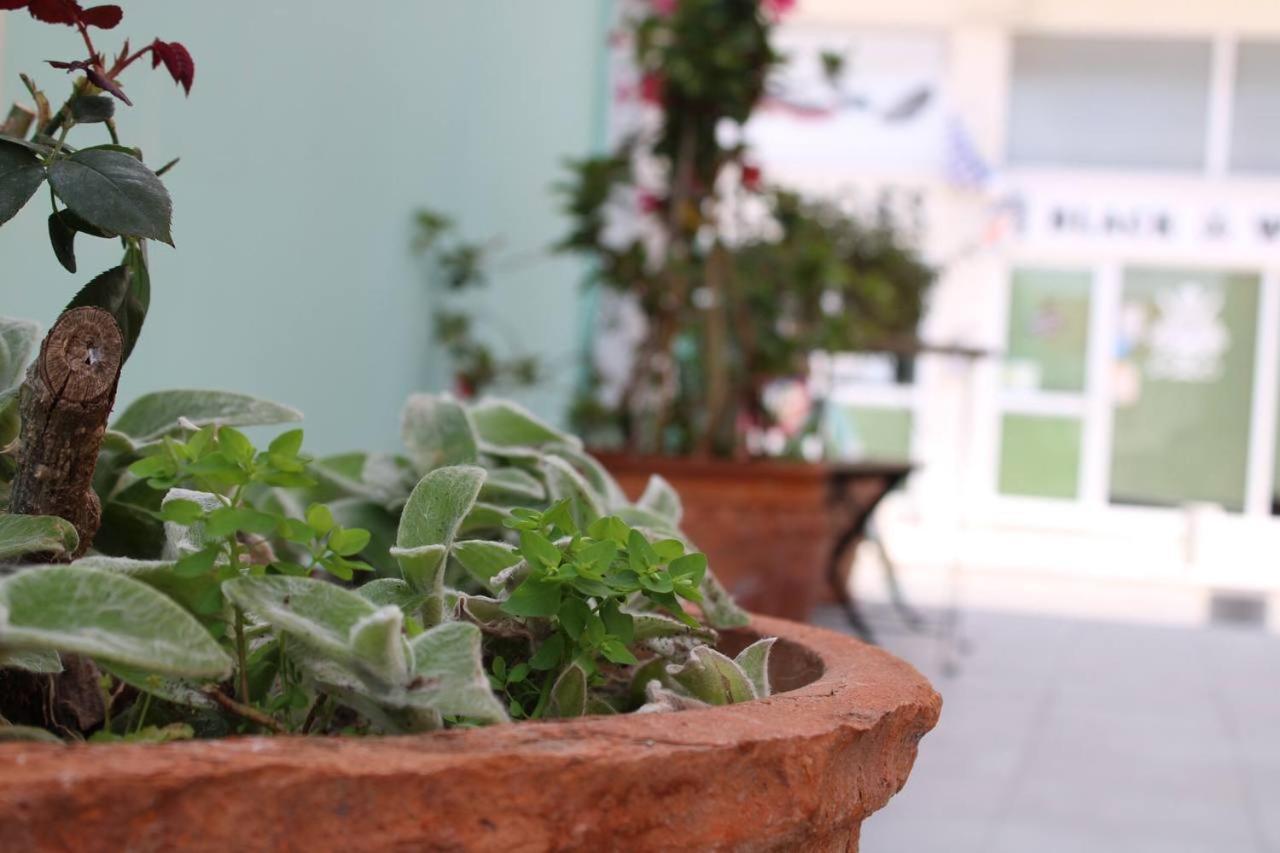 Katsikantaris Homes Pafos Dış mekan fotoğraf